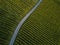 Aerial view over vineyard fields