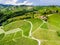 Aerial view over vineyard fields. Rolling hills nature landspace. Dreisiebner,slovenia , europe vineyard with Heart shaped wine ro