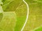 Aerial view over vineyard fields. Rolling hills nature landspace. Dreisiebner,slovenia , europe vineyard with Heart shaped wine ro