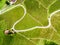 Aerial view over vineyard fields. Rolling hills nature landspace. Dreisiebner,slovenia , europe vineyard with Heart shaped wine ro