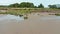 Aerial View over a Wet Sand Land moving towards the trees and grassland