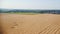 Aerial view over wheat field after harvesting in autumn.