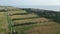 An aerial view of a paddy farm land near the sea