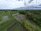 The aerial view of paddy fields in Kulonprogo, Yogyakarta