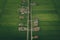 Aerial View Of Paddy Fields Surrounded By Buildings, Malaysia