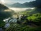 Aerial view of paddy rice fields and river view with foggy mornings. Greenery view in the morning with sunrise