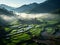 Aerial view of paddy rice fields and river view with foggy mornings. Greenery view in the morning with sunrise