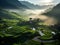 Aerial view of paddy rice fields and river view with foggy mornings. Greenery view in the morning with sunrise