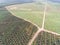 Aerial view of palm oil plantation located in kuala krai,kelantan,malaysia,east asia