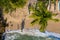 Aerial view of palm trees, Indian Oken coastline and bungalows. Island Sri Lanka.