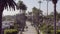 Aerial view of palm trees and the street in the Beverly Hills neighborhood