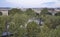 Aerial view panorama of Avignon in Provence France