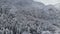 Aerial view of a panorama forest in a winter cloudy day. Beautiful winter nature of spruce and pine in the snow. Flying