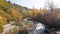 Aerial view panorama of yellow autumn forest in Almaty