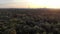 Aerial view of Paris skyline with Eiffel Tower from the Boulogne Forest with flying birds at rising morning sun