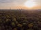 Aerial view of Paris skyline with Eiffel Tower from the Boulogne Forest at rising morning sun