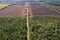 Aerial view of peat harvesting field. Peat extraction