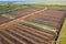 Aerial view of peat harvesting field. Peat extraction