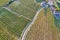 Aerial view of the Penedes vineyards in Barcelona