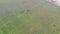 Aerial view of people playing a rugby game on a green field in Ukraine. Foggy day without sun