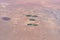 Aerial view of Perfect green circles of a farm in the Mojave Desert of California