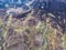 Aerial view of the Pilgrims Path up to the Slieve League cliffs in County Donegal, Ireland