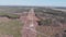 Aerial view of pine forest. Deforestation. Environmental damage. Electricity pylons and power lines in forest. Transformation line