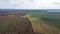 Aerial view pine forest and trees after the fire in the swamp. Panorama of ecological problem