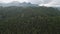 Aerial View of Pine Tree Natural Reserve in Guatemala