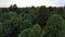 Aerial view pine trees forest, evergreen treetops. Siberia, Russia.