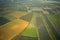 Aerial view of Pineapple fields on a nice day