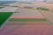 Aerial view of a pink tulip field in Keukenhof, Lisse at sunrise in Netherlands