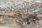Aerial view of the pit with piles of the building, demolition. Trucks and excavators work soil removal