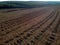 Aerial view of Plantation Eucalyptus trees being harvested for wood chipping