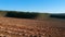 Aerial view of Plantation Eucalyptus trees being harvested for wood chipping