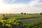 Aerial view of plantation farm landscape field. Agroindustry and agribusiness. Beautiful countryside farmland terrain. Wonderful