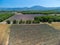 Aerial view on Plateau of Valensole with rows of blossoming purple lavender, wheat grain fiels and green trees, Provence, France