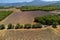 Aerial view on Plateau of Valensole with rows of blossoming purple lavender, wheat grain fiels and green trees, Provence, France