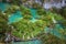 Aerial view of Plitvice Lakes and waterfalls in Plitvice national park, Croatia.