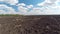 Aerial view of plowed field and tree