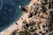 Aerial view of the Praia da Marinha Marinha Beach in the beautiful coast along Lagoa, in Algarve