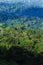 Aerial view of primeval tropical forest in the morning