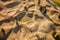 aerial view of a pristine golf course with sand bunkers