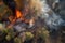 aerial view of raging wildfire, with firefighters in full gear battling the flames