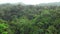 Aerial view of rain-forest jungle