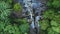 Aerial View: Rainforest and the waterfall. Move down