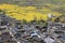 Aerial view of rapeseed flowers around ShiGu village near Lijiang . ShiGu is in Yunnan, China, and was part of the South Silk Road