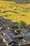 Aerial view of rapeseed flowers around ShiGu village near Lijiang . ShiGu is in Yunnan, China, and was part of the South Silk Road