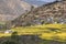 Aerial view of rapeseed flowers around ShiGu village near Lijiang . ShiGu is in Yunnan, China, and was part of the South Silk Road