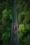 Aerial view of a red car running along a road flanked by a green forest AI generated